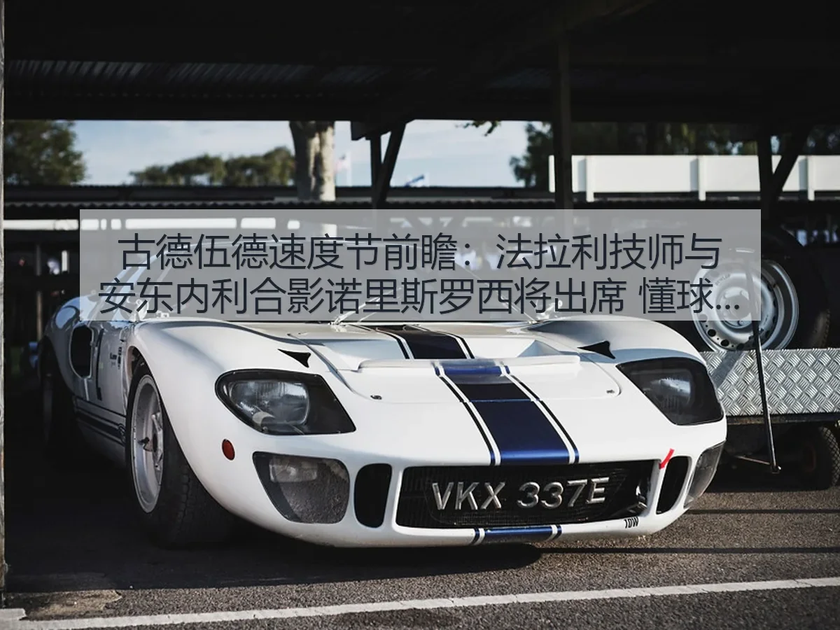 古德伍德速度节前瞻:法拉利技师与安东内利合影诺里斯罗西将出席 懂球观察